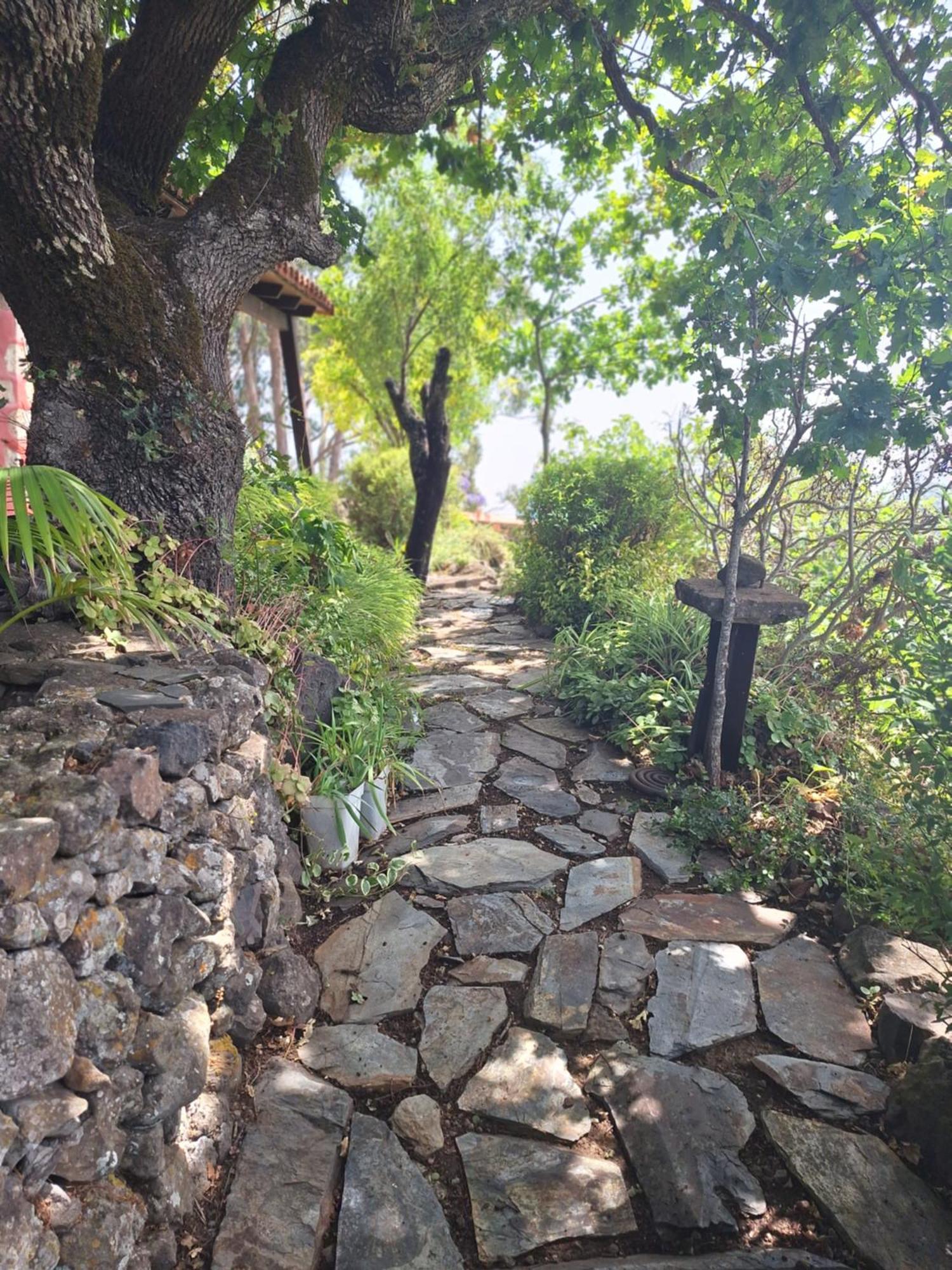Casa Rural Con Piscina Privada El Roble Moya  Екстер'єр фото