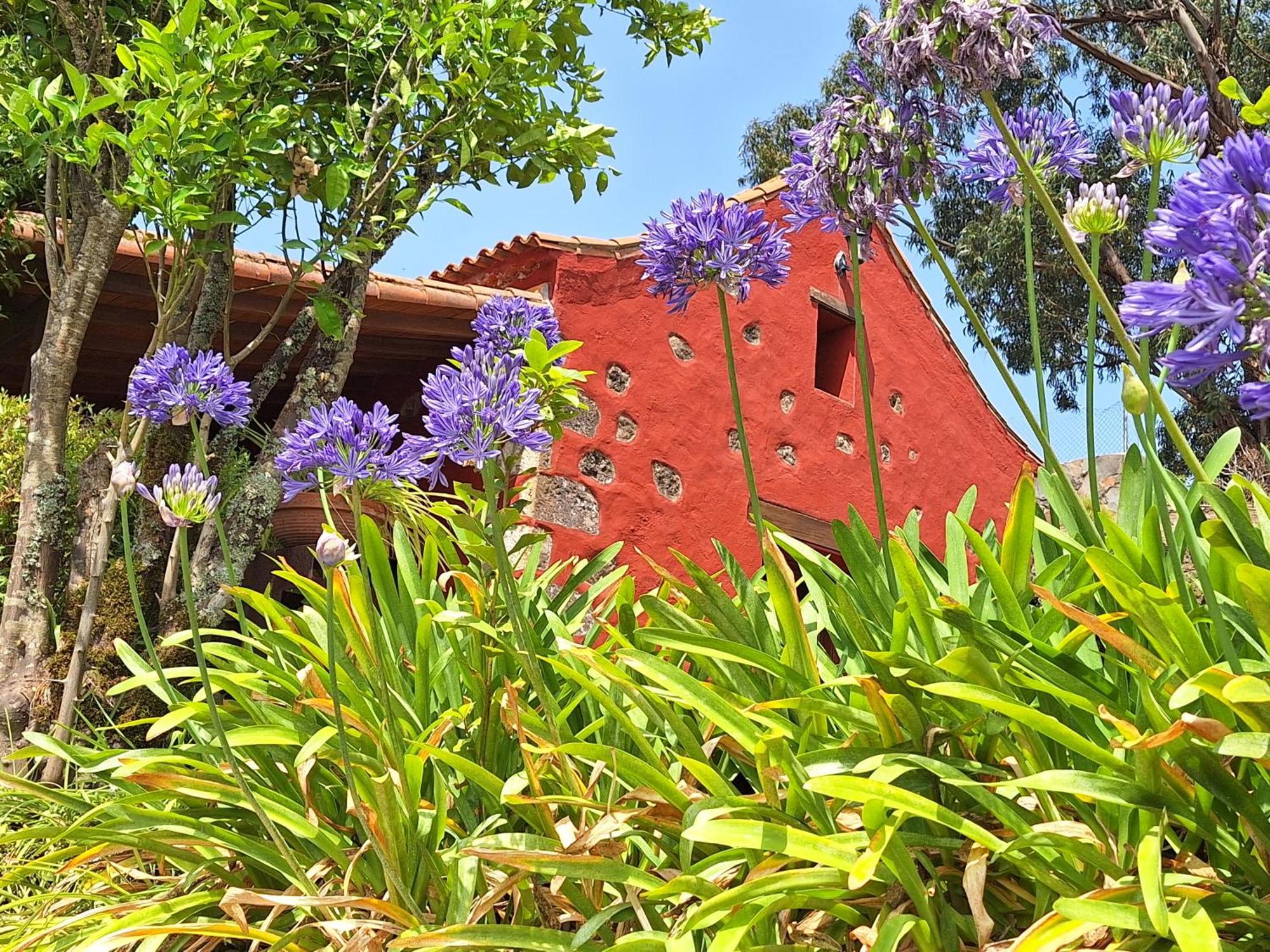 Casa Rural Con Piscina Privada El Roble Moya  Екстер'єр фото