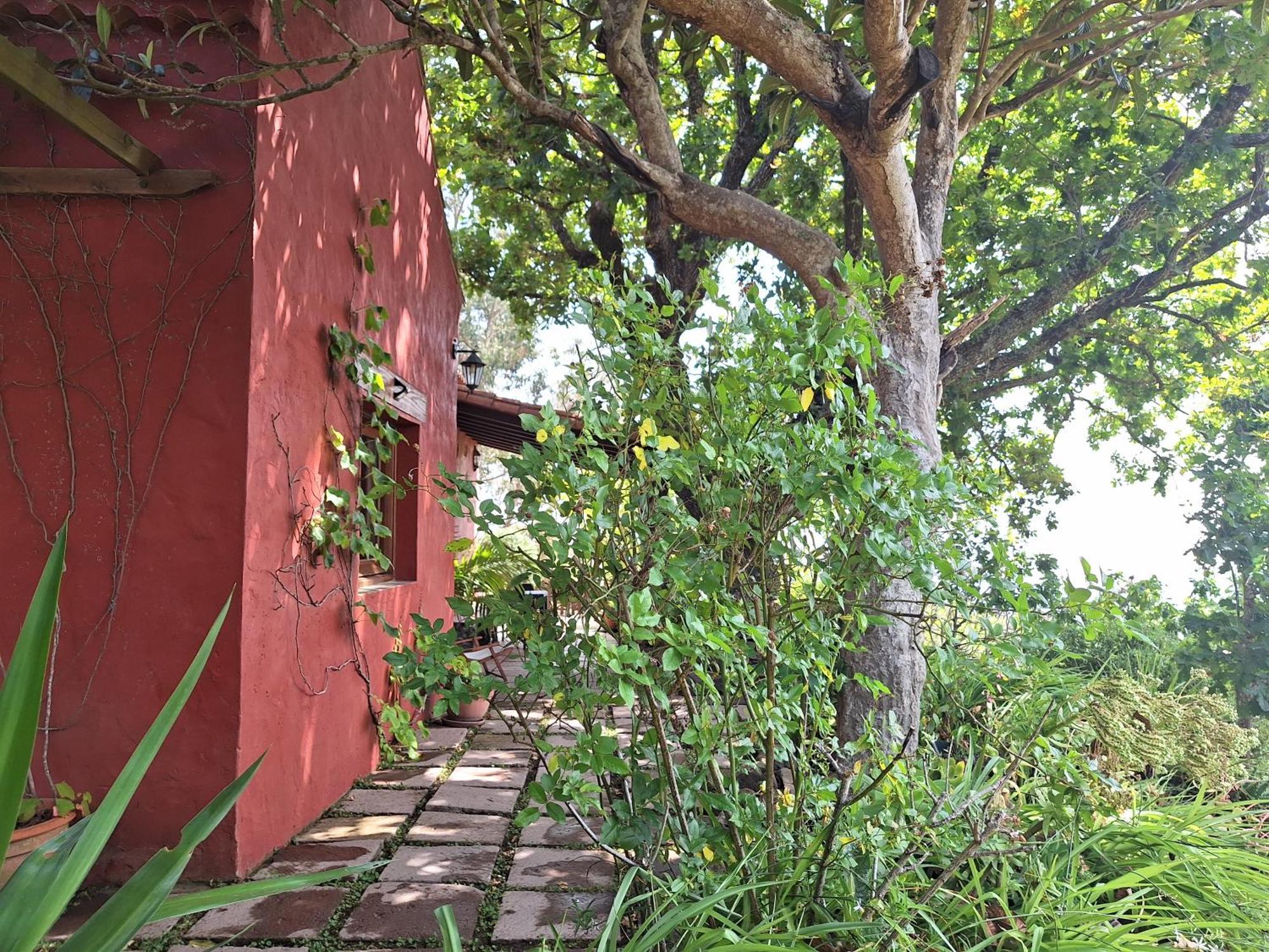 Casa Rural Con Piscina Privada El Roble Moya  Екстер'єр фото